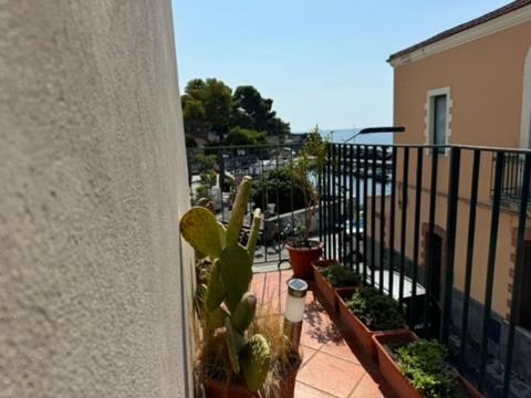 Swim Apartment Fronte Mare CTA Eksteriør bilde